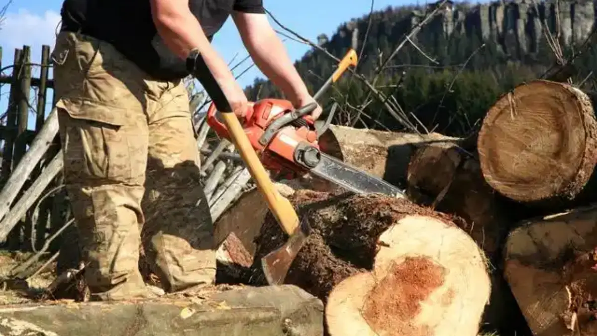 A Guide to Choosing Safety Gloves for Woodworking-logging